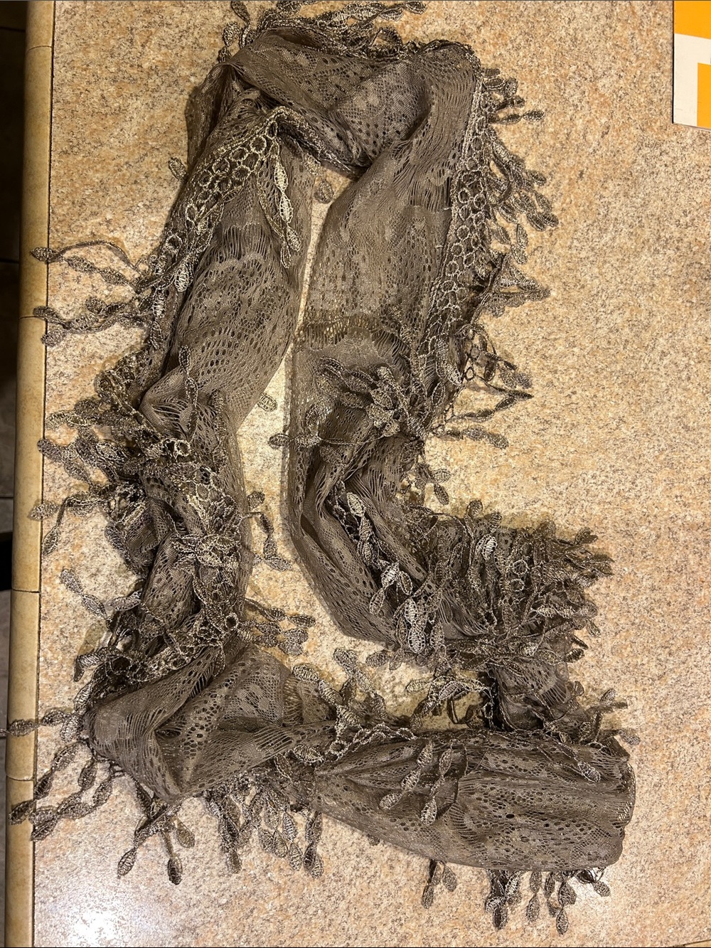 Source Unknown Taupe Lace Fringe Scarf